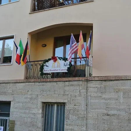 Oda ve Kahvaltı Camollia 3*