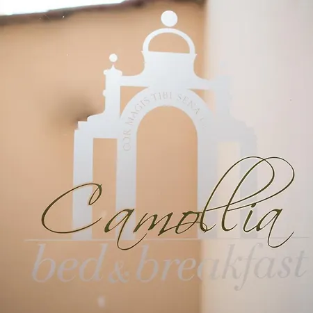 Camollia Σιένα